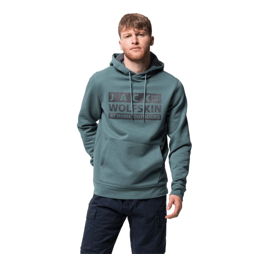 Jack Wolfskin BRAND HOODY Haut Homme Vert Clair - AMCHVYW-56